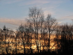 IMG_1065