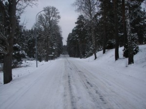 Vägen mot Högsby från Fogelfors Bruk