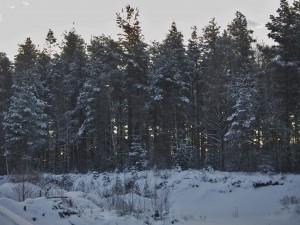  Ugglemon från industriområdet.