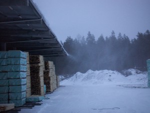 Stundtals och snöyra