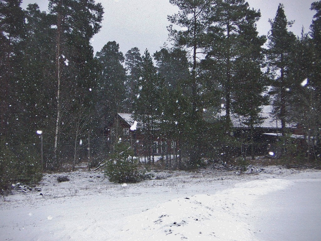 Tidvis kraftiga snöbyar.