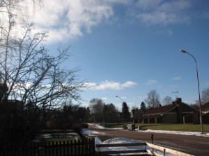 IMG_1146