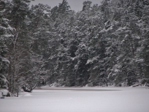 Övre delen av Bruksdammen