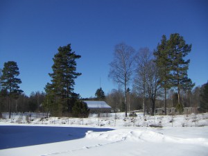 Molnfri himmel på förmiddagen.