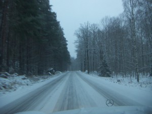 Vinterdag.