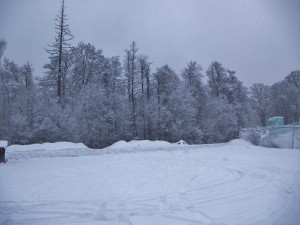 Dagens bild passar  som julkort.