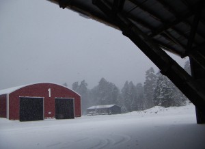Fortsatt med kraftiga snöbyar idag också