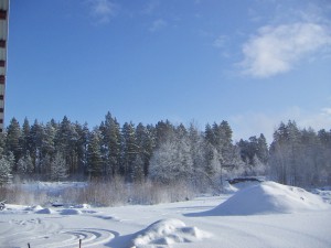 En stund på förmiddagen...