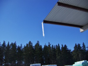 Solen smälter istapparna idag.