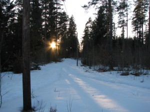 Snön ligger fortfarande djup vid "gläntan" i Ugglemon. 