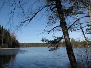 Torpsjön (Mörtsjön) idag