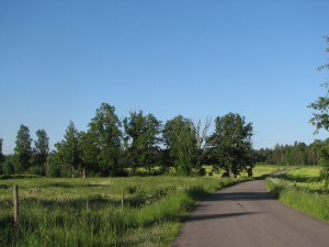 20130608 vid Forsaryd på morgonen.