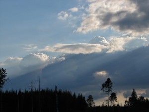 Kvällsbild från skogarna runt Fågelfors
