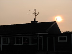 Soldis ikväll