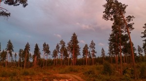Konstigt ljus det blev ikväll, solen reflekterades på molnen och lyste upp backen. Bilden tagen strax före 21.00