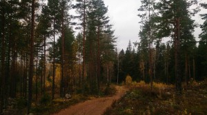 Ikväll.