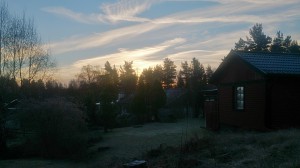 Sol på förmiddagen idag.
