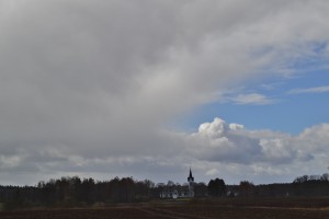 DSC_0461