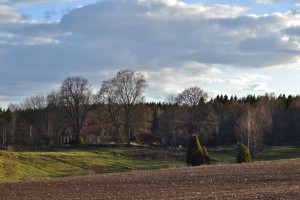 Forsaryd i kväll 20140415