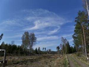 Bara några tunna molnslöjor.