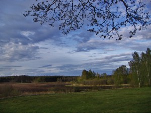 Fredag kväll 20140509
