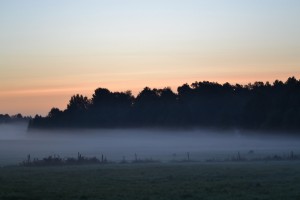 DSC_0190