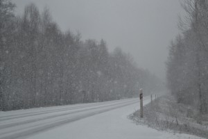 Tätt snöfall under förmiddagen
