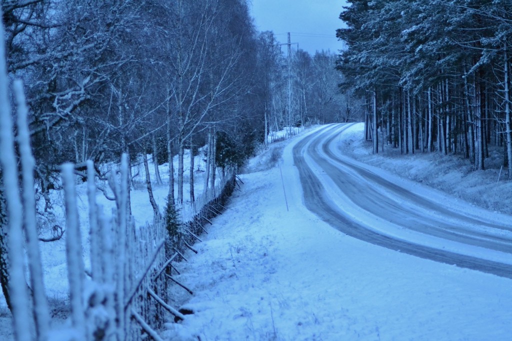 Återigen ett snötäcke efter dagens ymniga snöfall