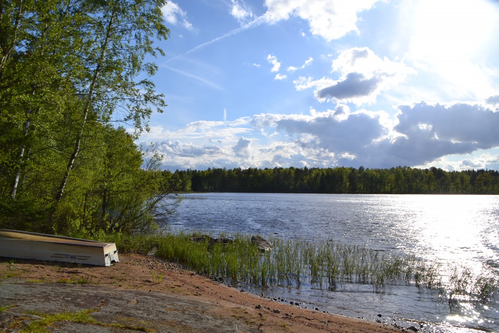 Friska vindar vid Tränsjön ikväll.