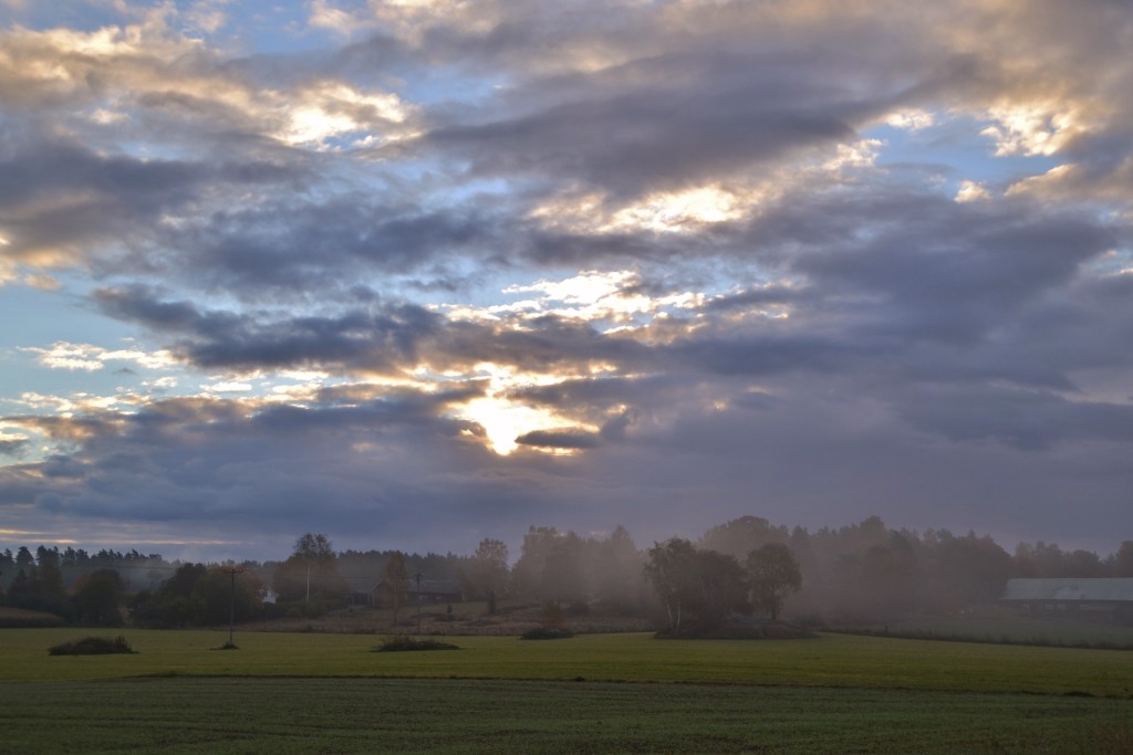 Lite dimma här och var på morgonen.