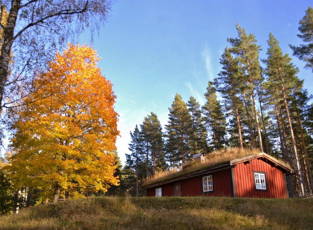 Fint höstväder idag, och fina färger också..