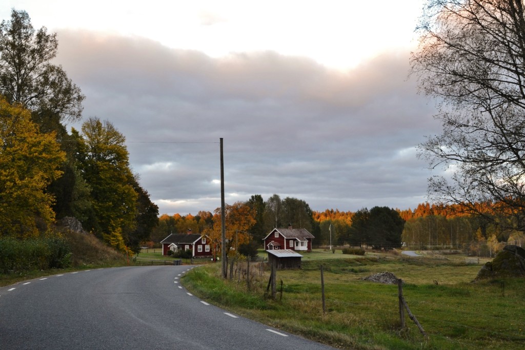 Vid Foglebo ikväll vid solnedgången