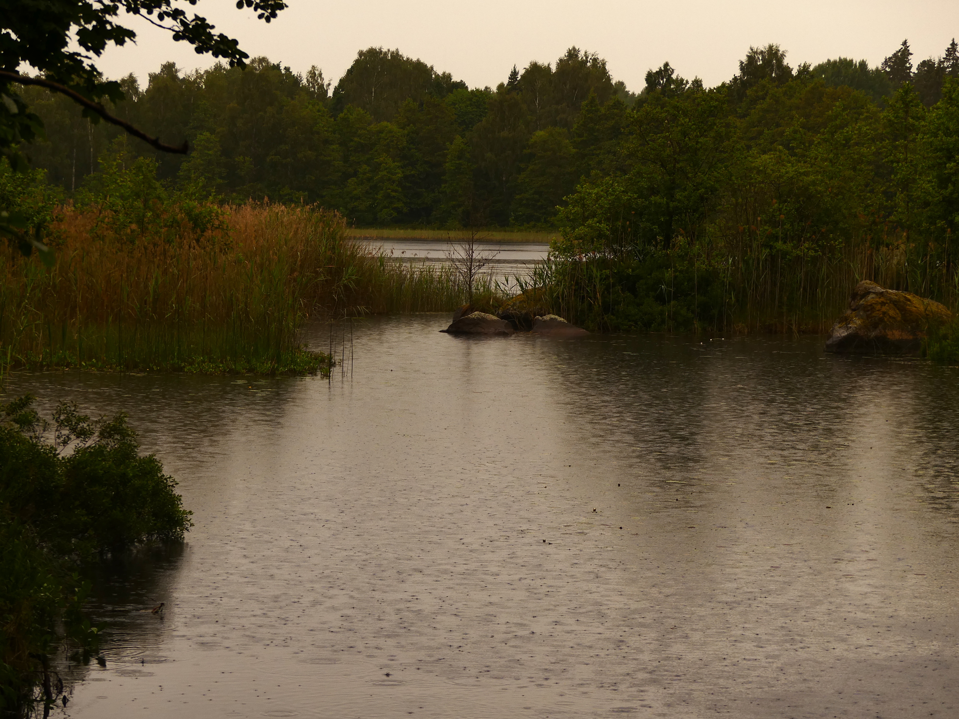 Lite välbehövligt regn i eftermiddag och ikväll.