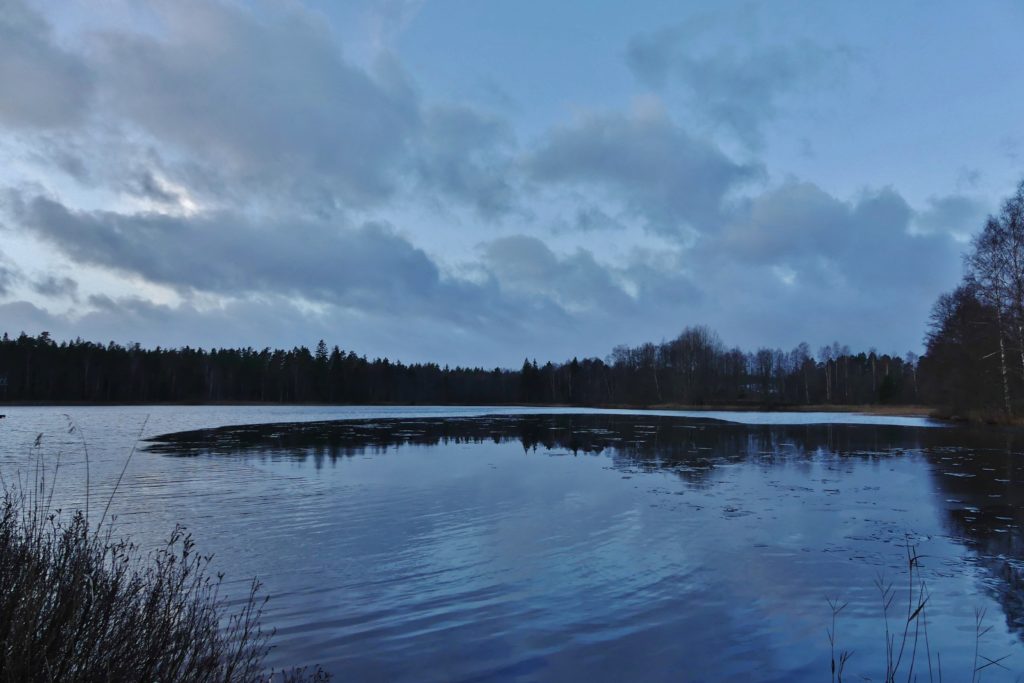 En bild från Övrasjön idag..där himlen speglar sig, är det en tunn ishinna, för övrigt öppet vatten.