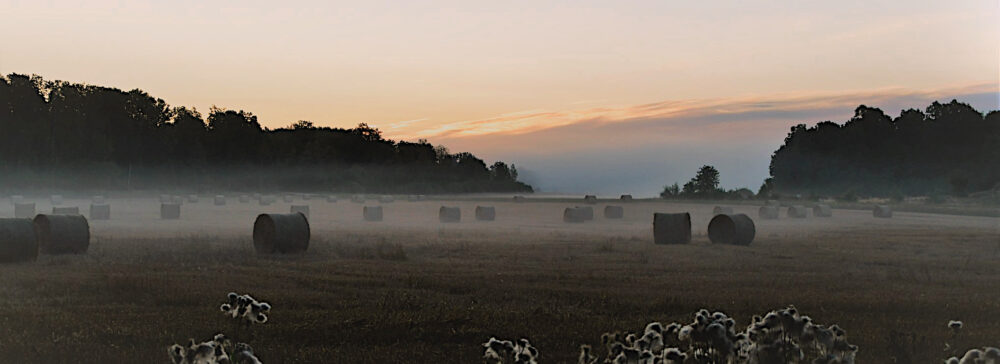 Vädret i Fågelfors, Småland.