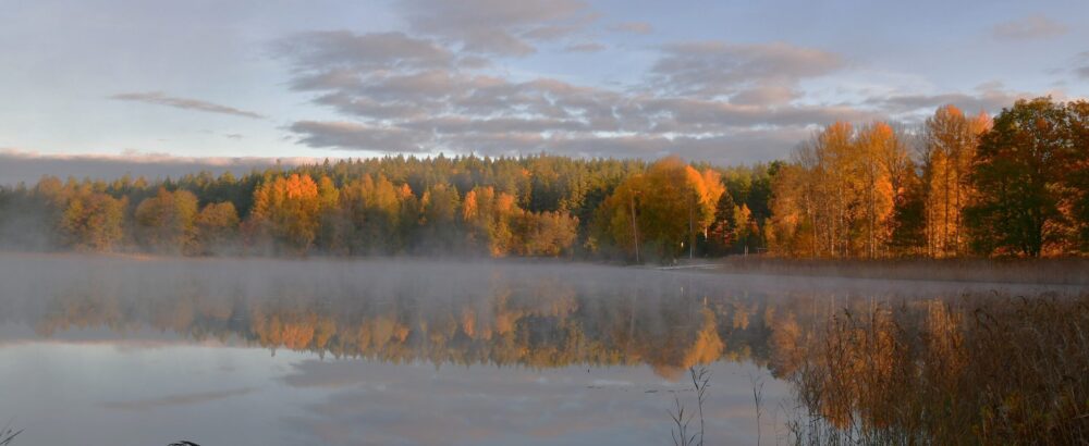 Vädret i Fågelfors, Småland.